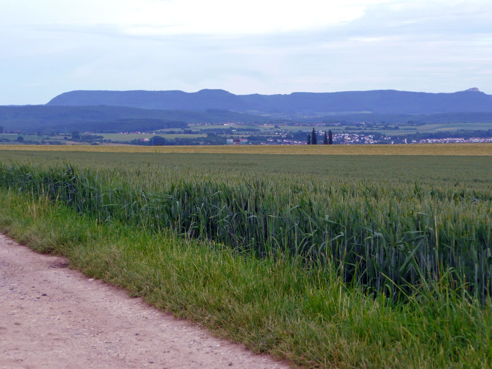 Blick zur schwäbischen Alb