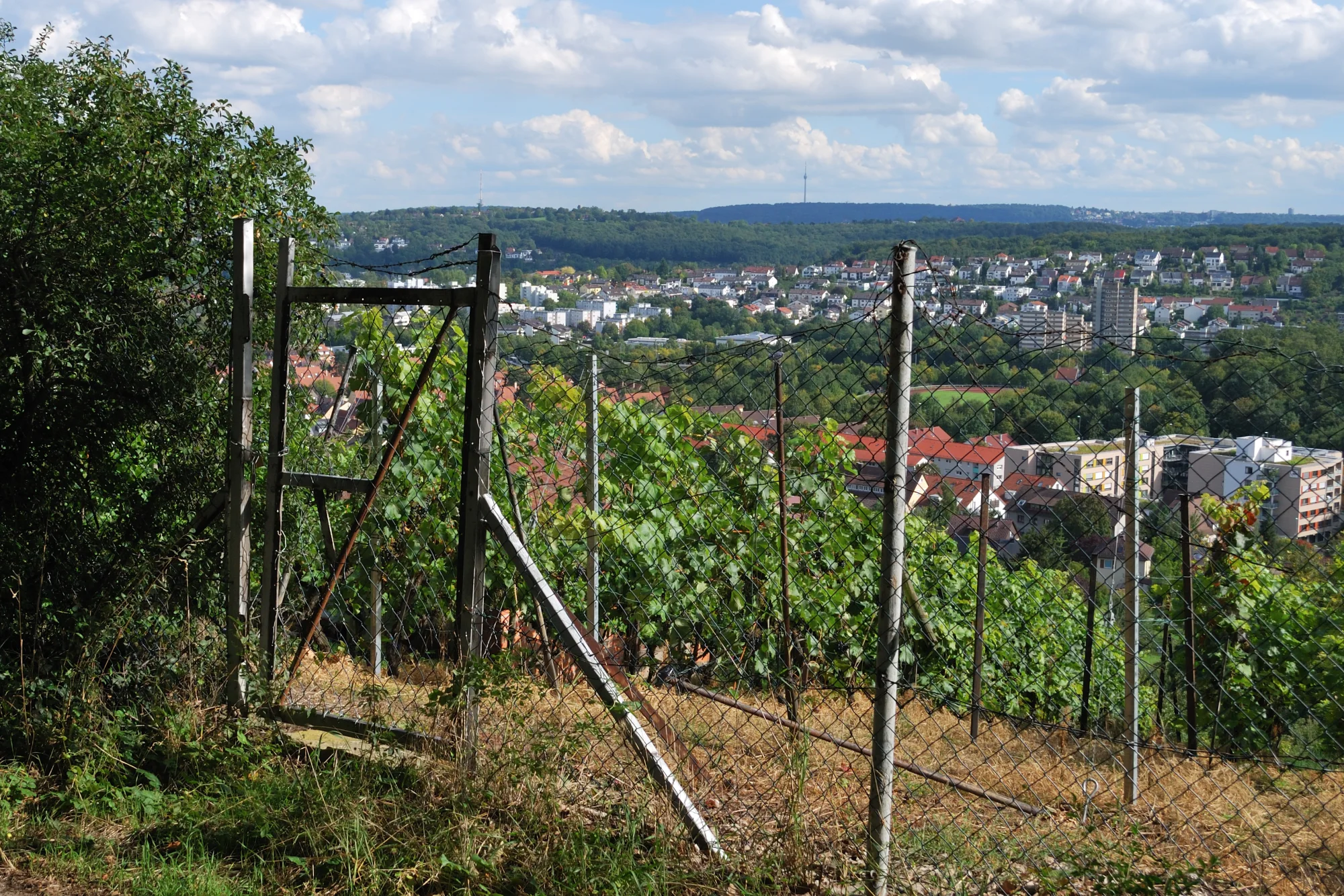 View of Stuttgart-Feuerbach from Lemberg.