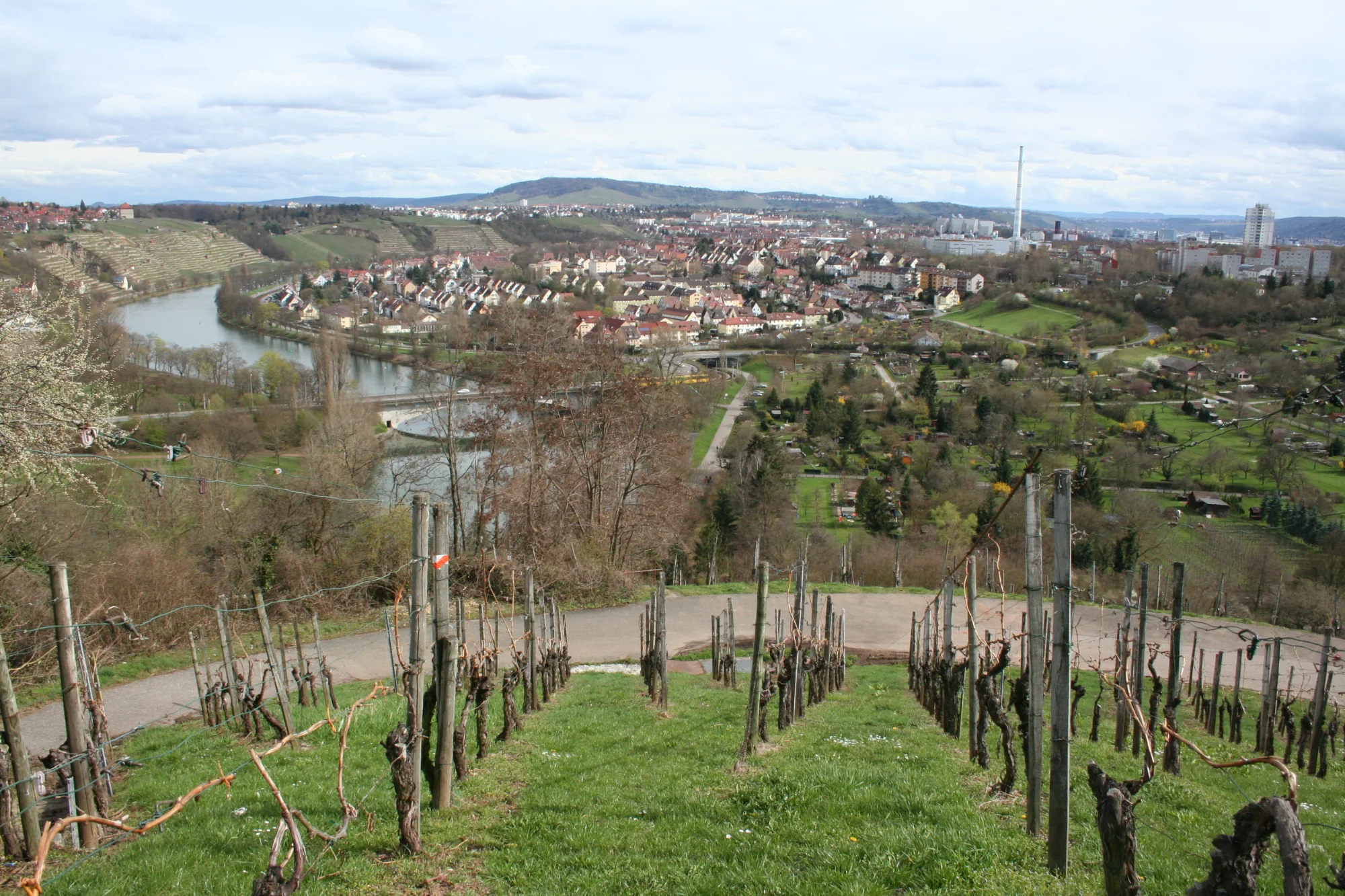 Blick vom Schnarrenberg auf den Stadtteil Stuttgart-Münster