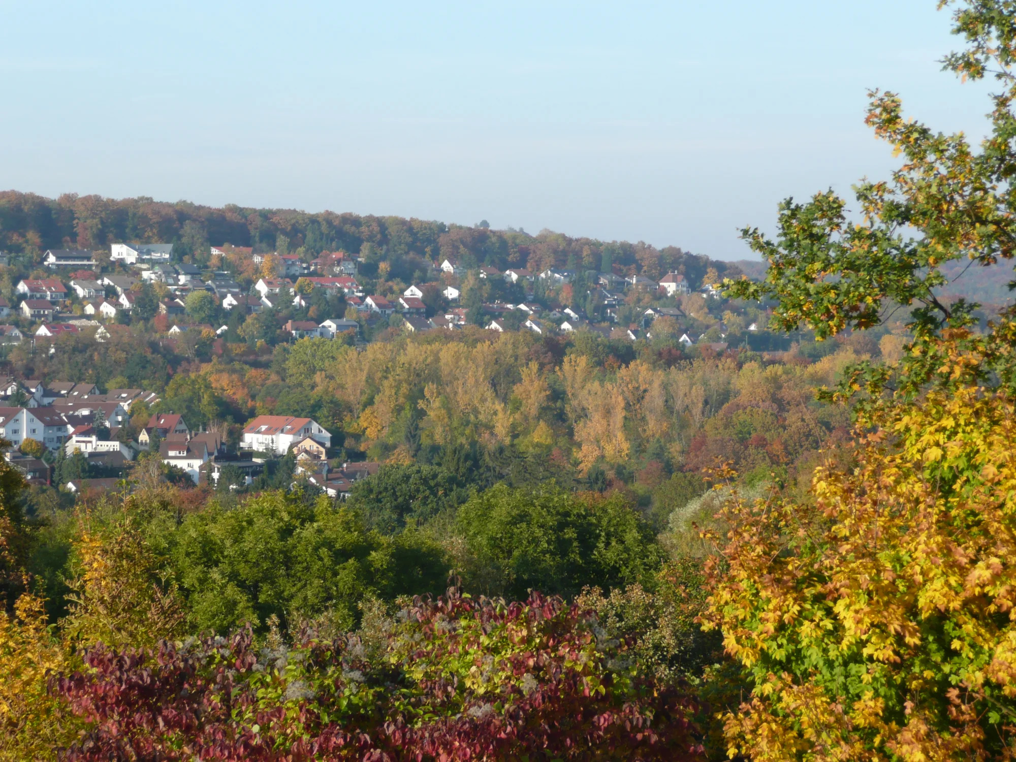 Ausblick von der S-Bahnstation Österfeld Richtung Dachswald
