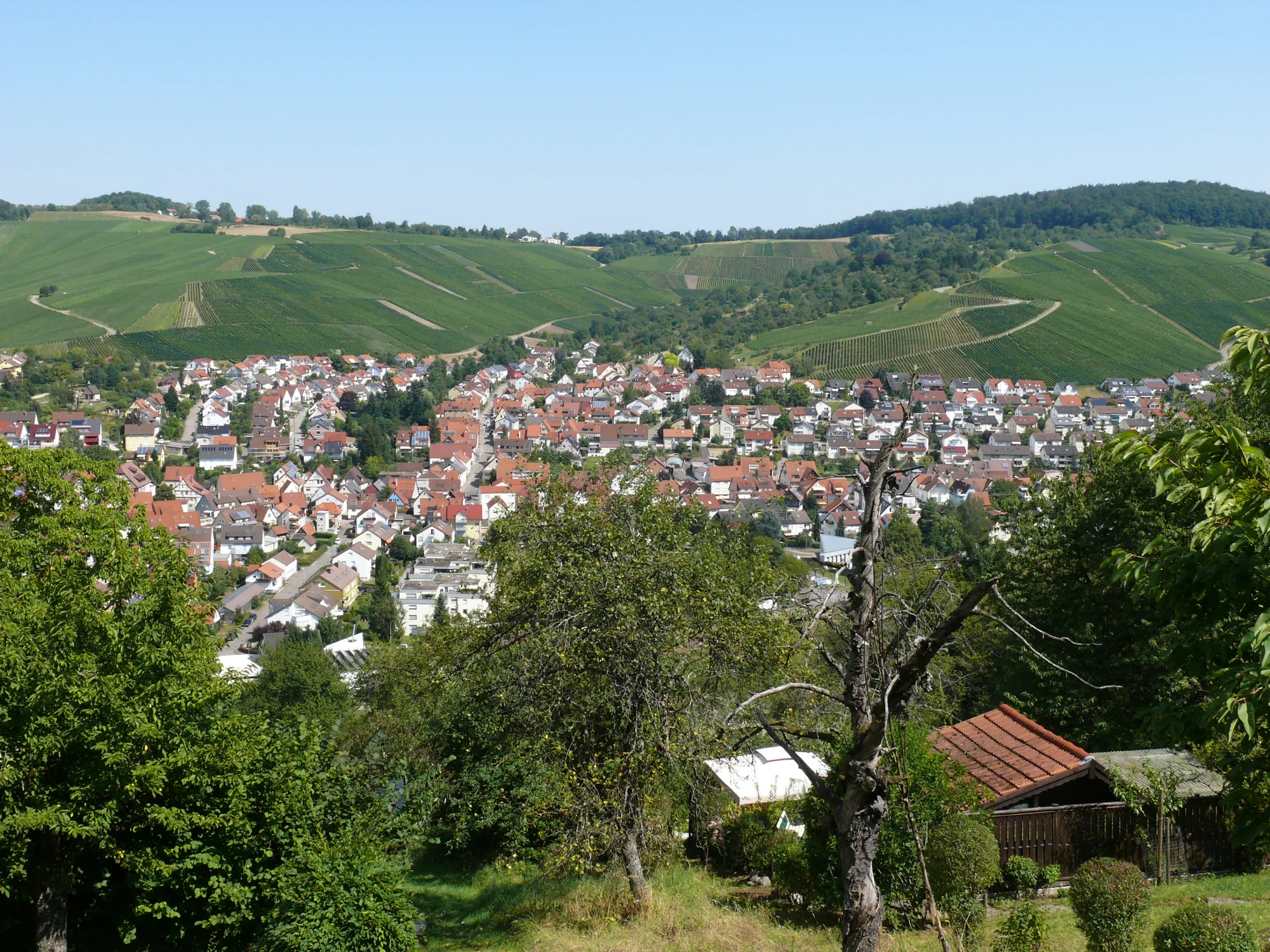 Blick auf Weinstadt-Schnait aus südlicher Richtung vom Aichelberg.