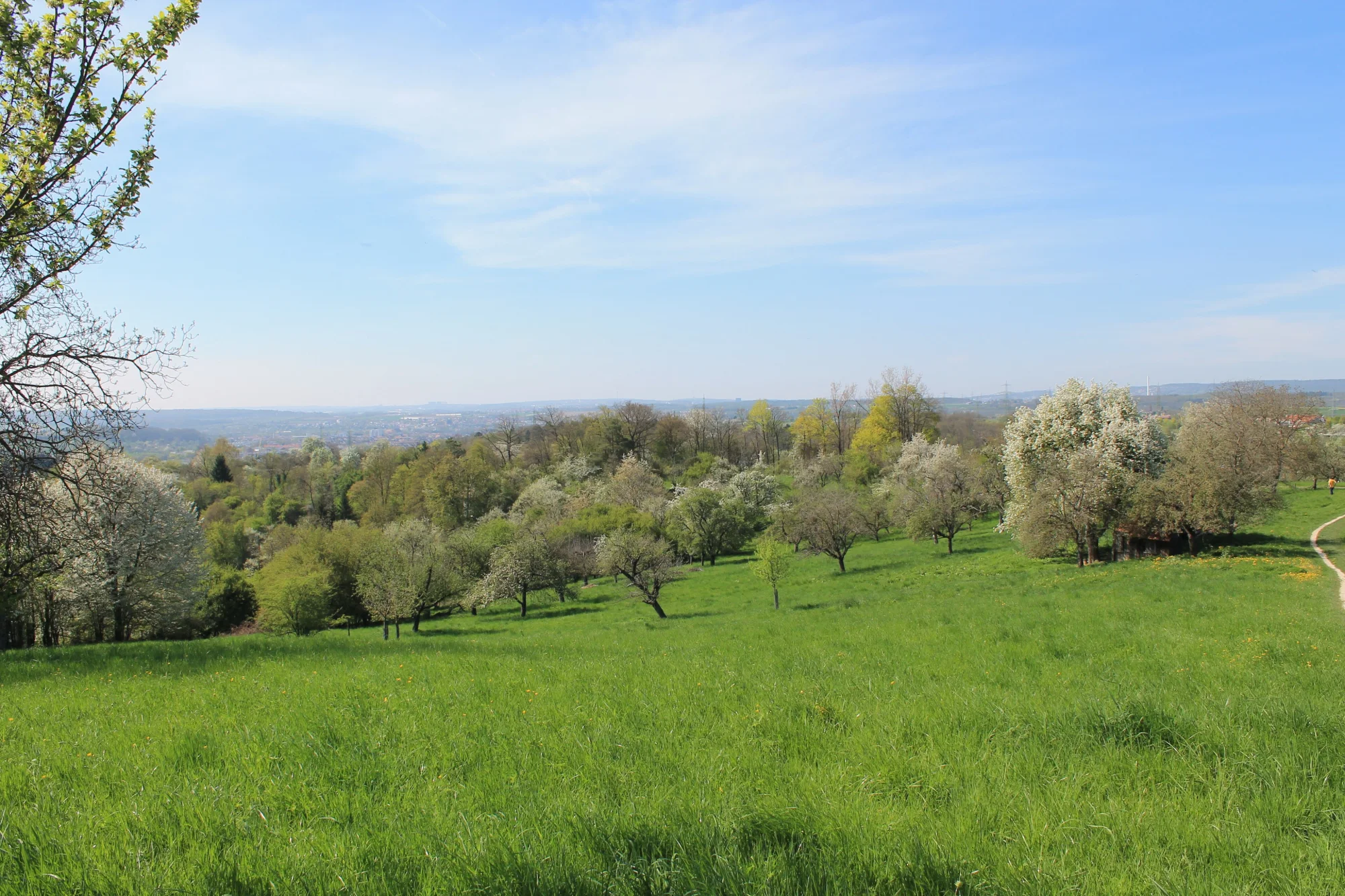 Blick von der Streuobstwiese Richt Wernau