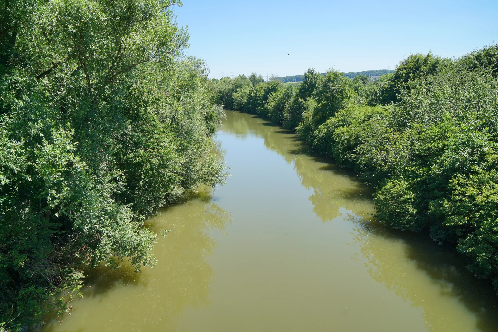 Alter Neckar bei Altbach.