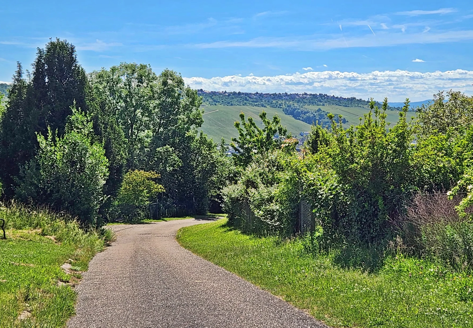 Blick vom Lenzenberg über Hedelfingen zum Neckartal