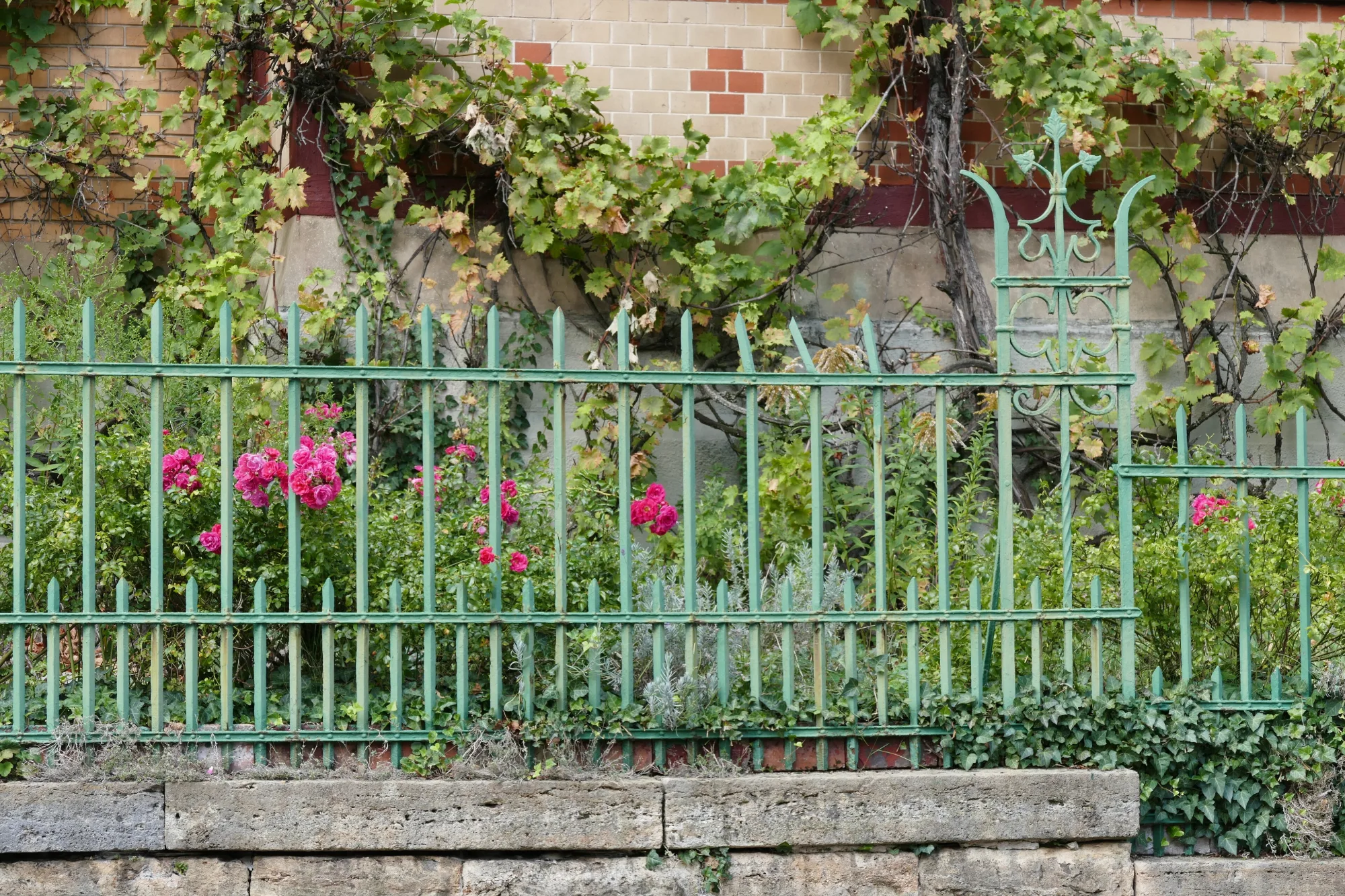 In Stuttgart Ost grenzt der Zaun die schönen Vorgarten ab