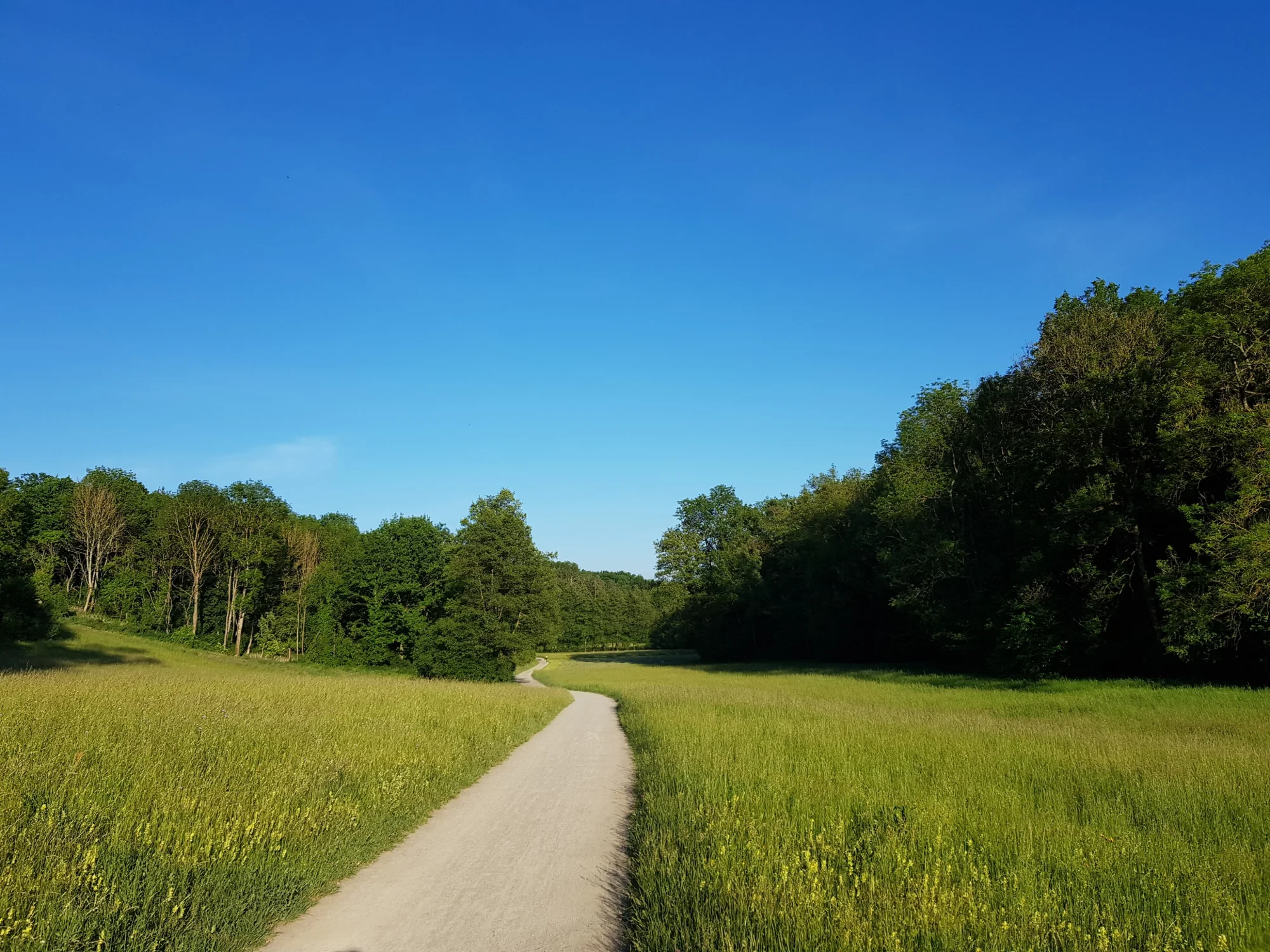 Körschtal, unterhalb Weidachwald in Stuttgart-Möhringen und -Plieningen