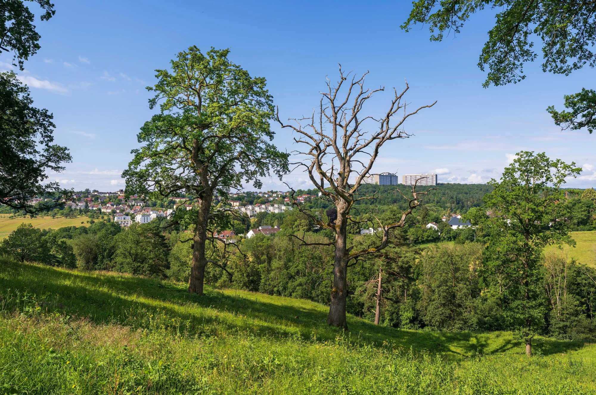 Wohn- und Lebensumfeld in Stuttgart-Sillenbuch