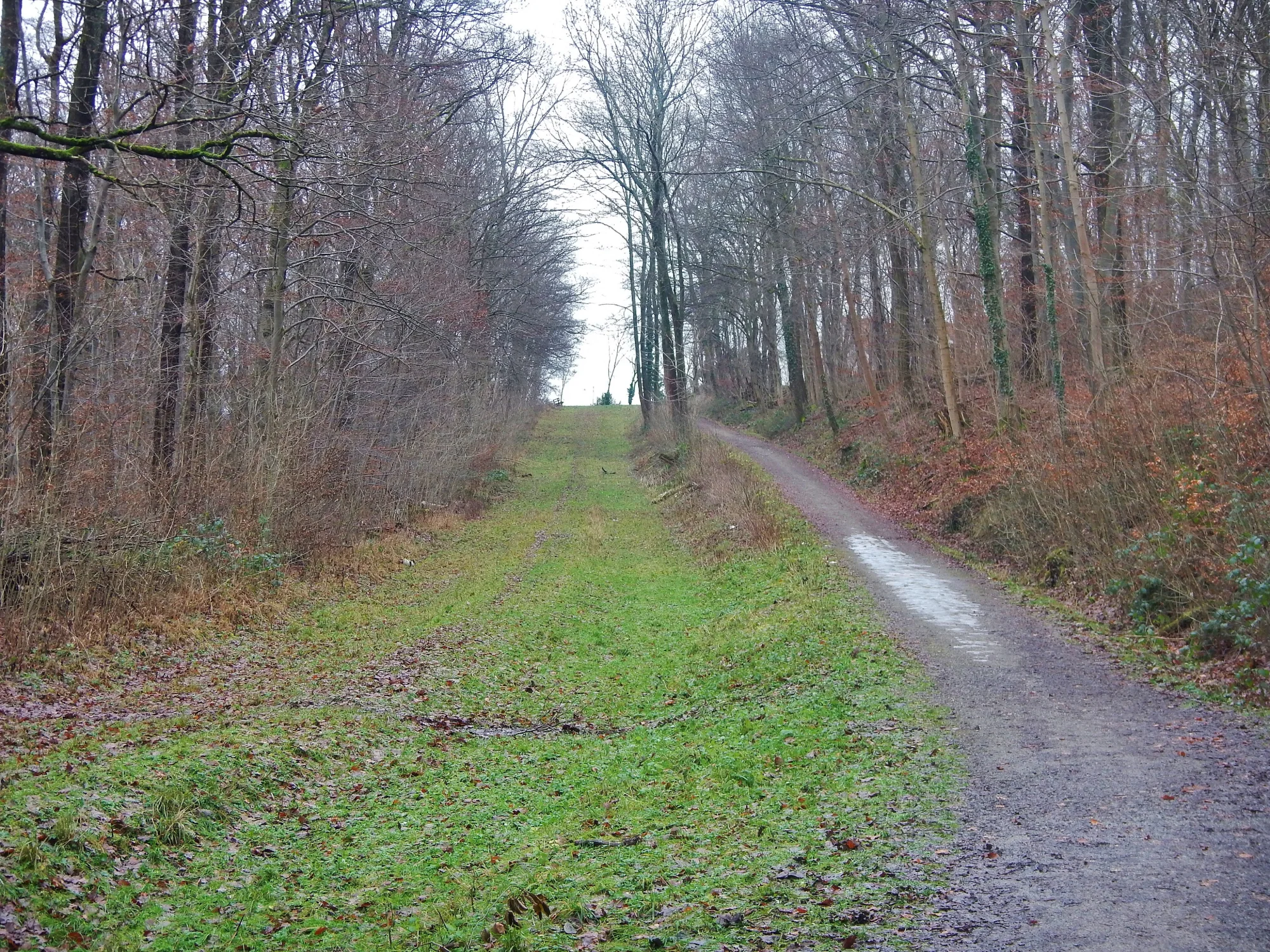 Ehemalige Stadtbahnstrecke im Kräherwald