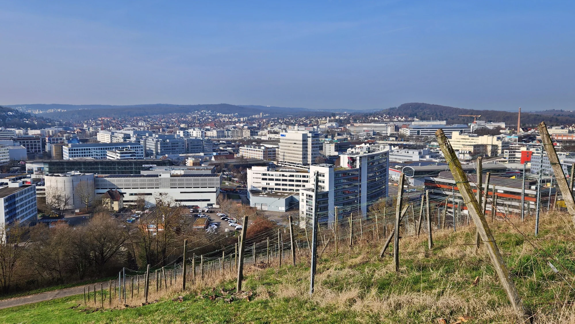 Weinberge über Stuttgart-Zuffenhausen