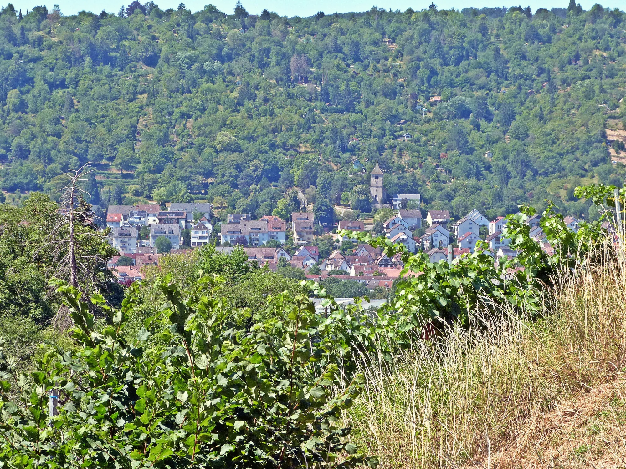 Blick von den Weinbergen oberhalb Stuttgart-Untertürkheim zur Wangener Michaelskirche